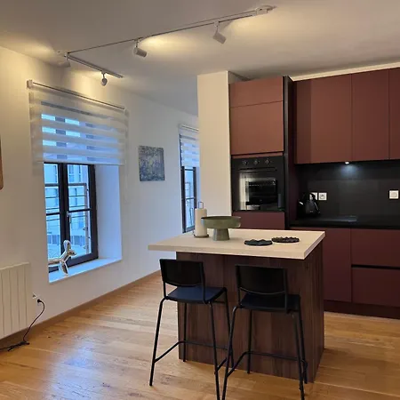 Appartement Premium Baraban Lyon